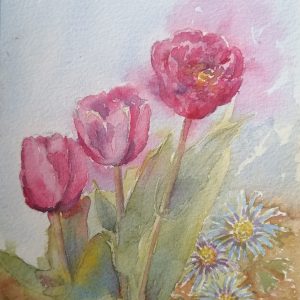 Unframed - tulips - watercolour