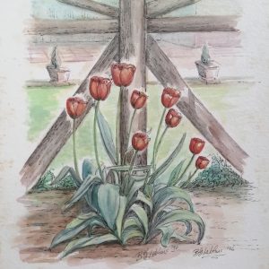 Unframed - Tulips by a fence - watercolour