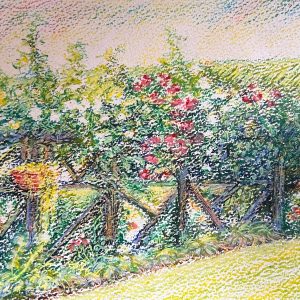Unframed - Rear garden at 19 North Street - pastel