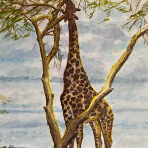 Unframed - Watercolour