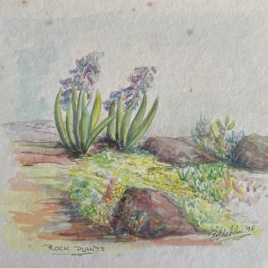 Unframed - Watercolour