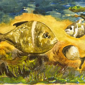 Unframed - tropical fish - watercolour