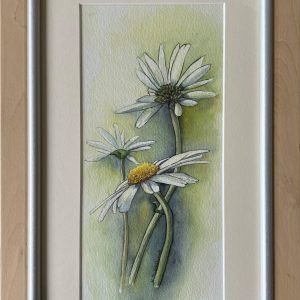 Framed - Daisies - Watercolour