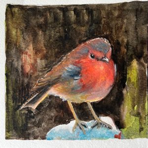 Unframed - robin on perch - watercolour